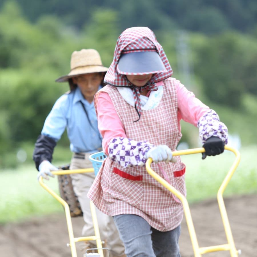 そば生産者