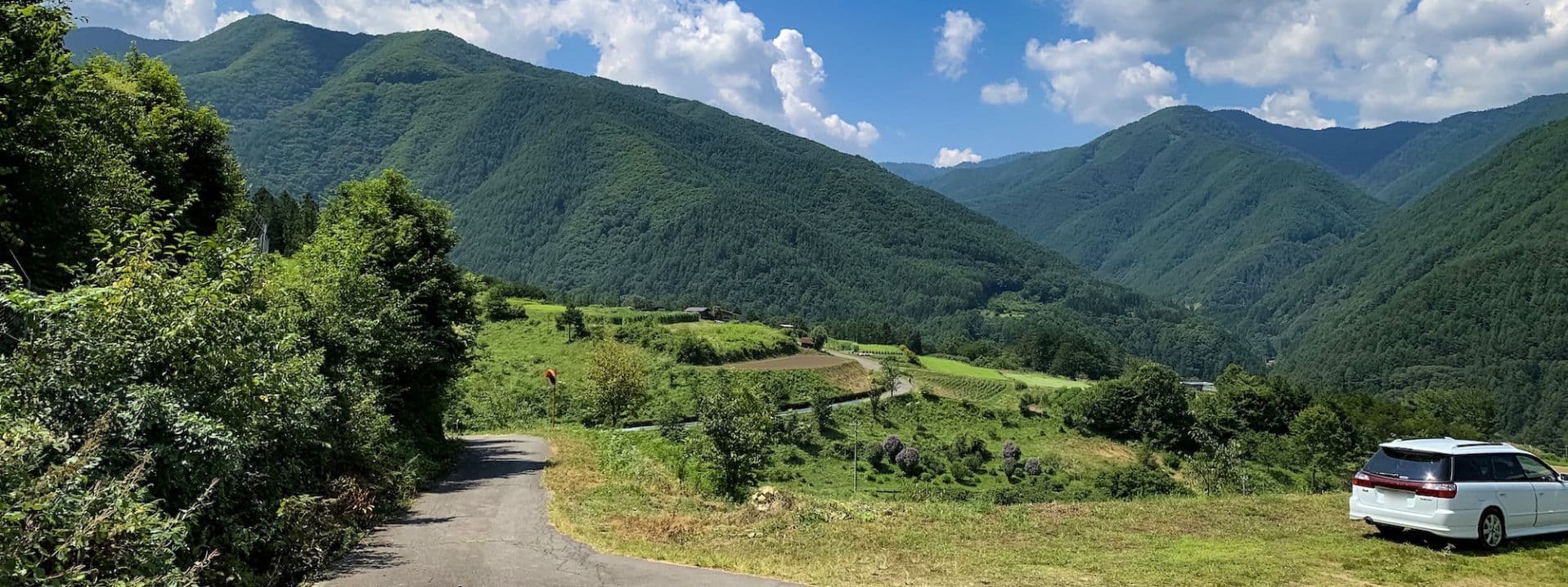 奈川のソバ畑_風景