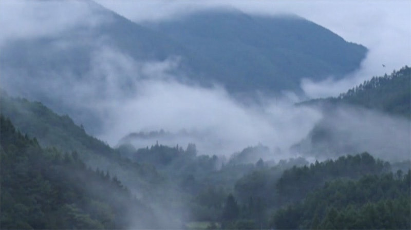 そばを育てる奈川の霧